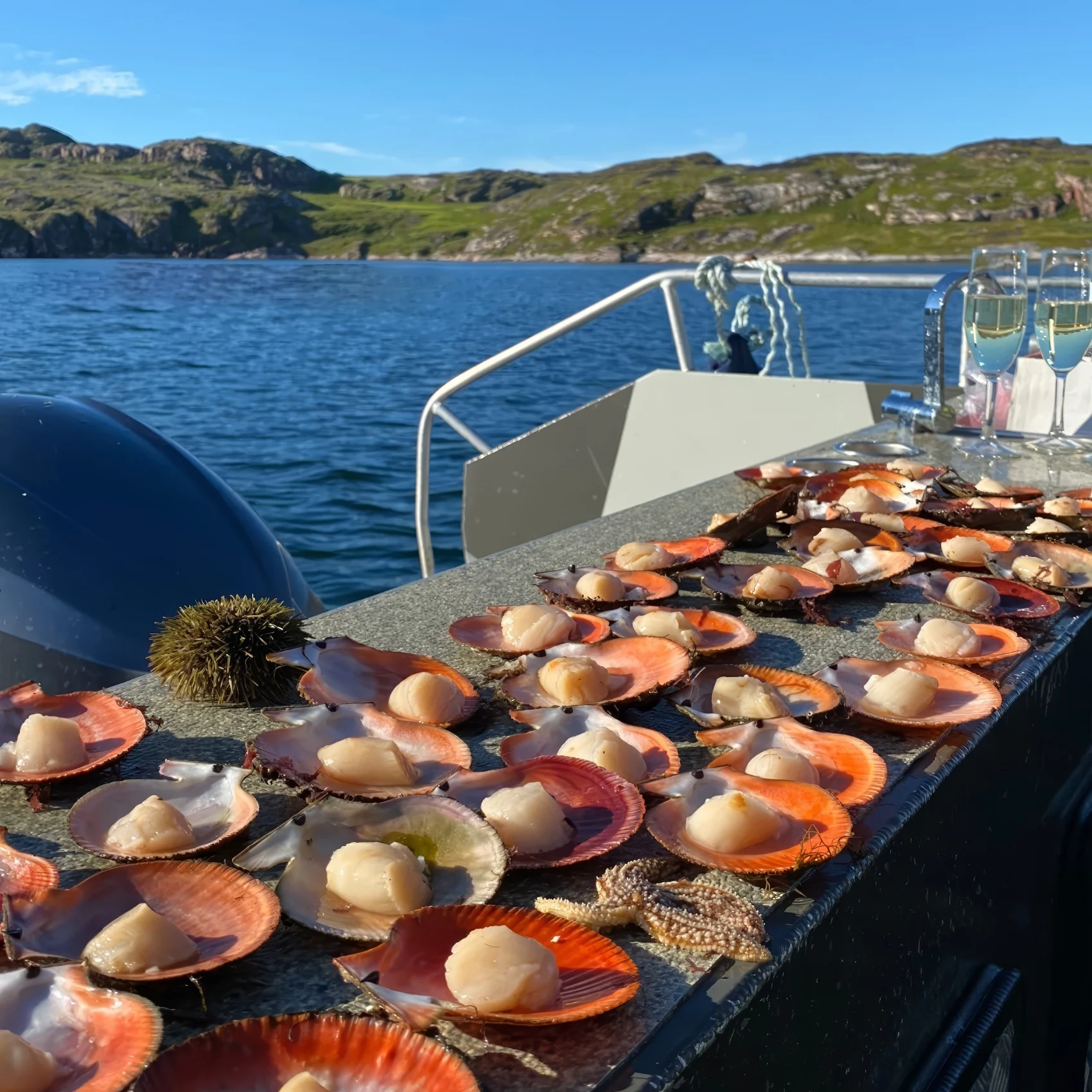 Морепродукты из Баренцева моря на гастрономической программе